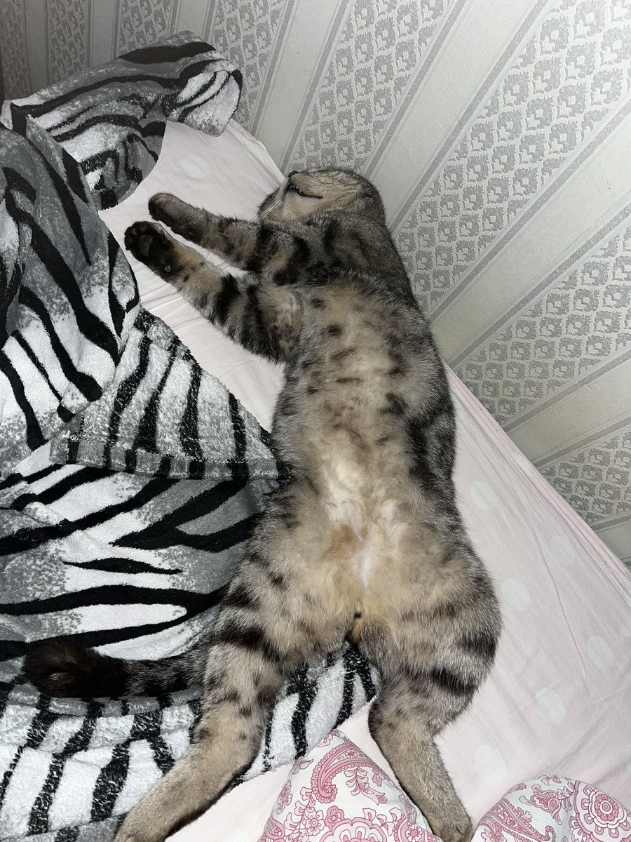 krs_twt's tweet photo. он такооойййй i wanna eat him https://t.co/HttkytbHgQ
