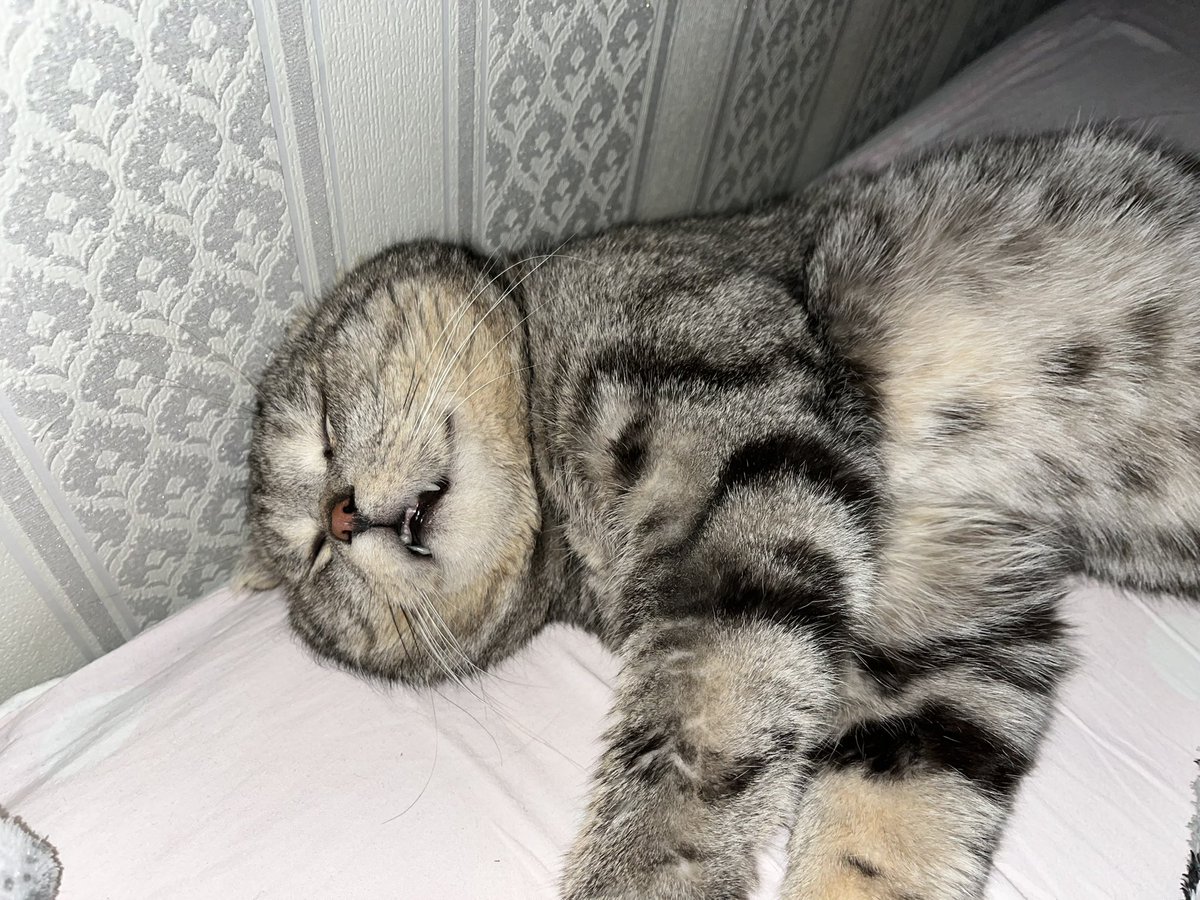 он такооойййй i wanna eat him