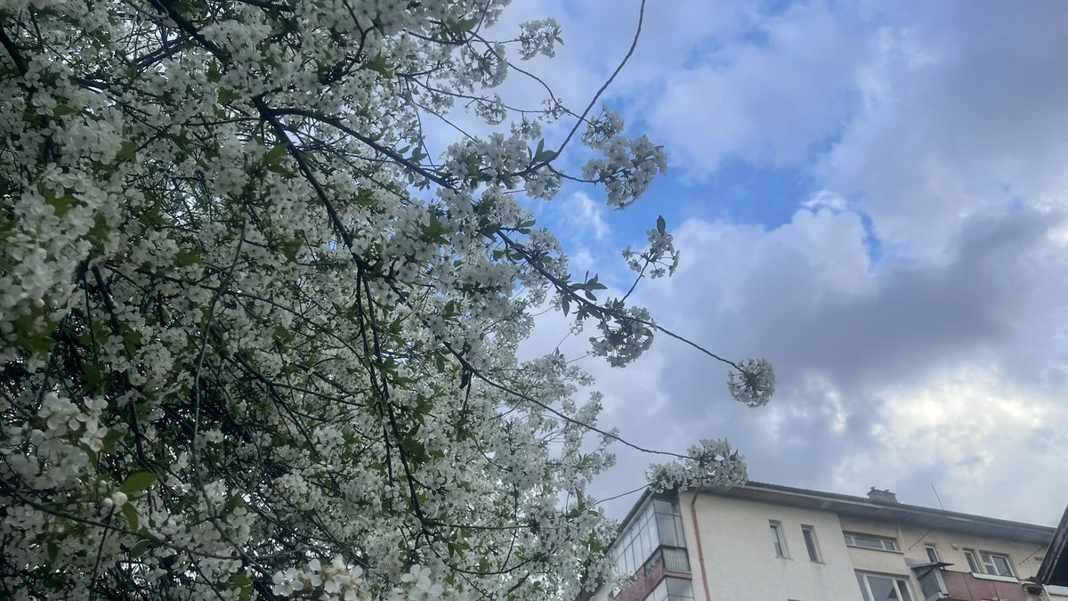 PassySolomon's tweet image. #Pascha vibes