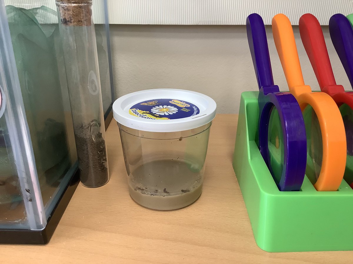 North Town Pippins tweet media