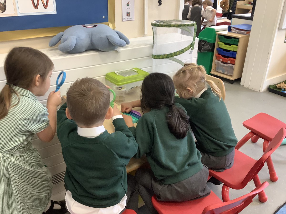 North Town Pippins tweet media