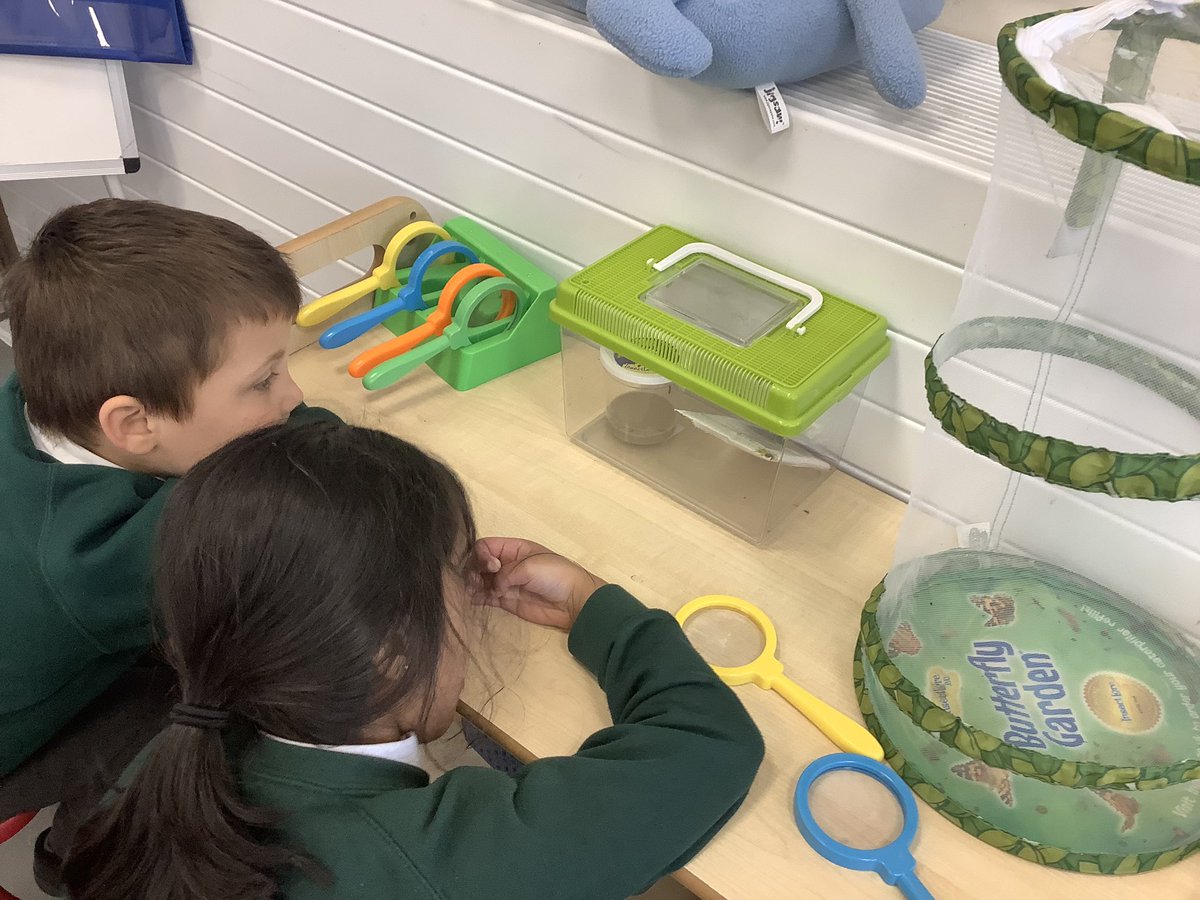 North Town Pippins tweet media