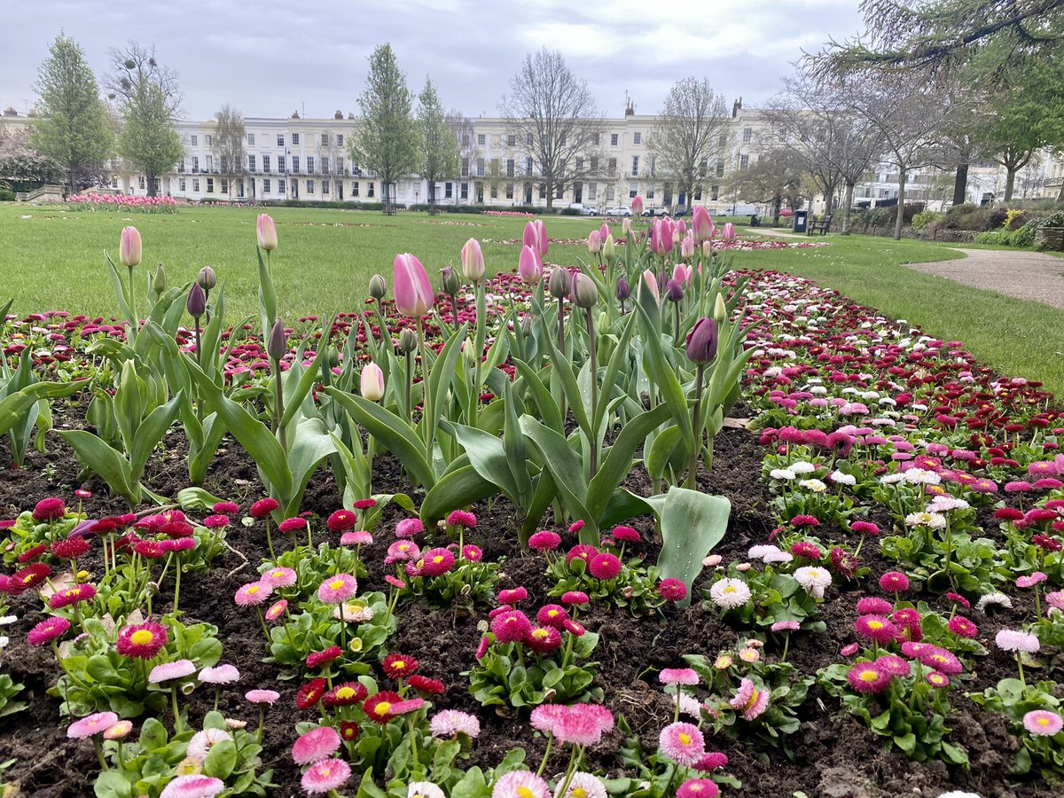 Cheltenham Civic Society (@cheltcivicsoc) on Twitter photo As usual, <a href="/CheltenhamBC/">Cheltenham Borough Council</a>ās Parks and Gardens Team are doing a magnificent job with spring planting. Here are Imperial Gardens bringing some brightness on a dull day. As usual, <a href="/CheltenhamBC/">Cheltenham Borough Council</a>ās Parks and Gardens Team are doing a magnificent job with spring planting. Here are Imperial Gardens bringing some brightness on a dull day.