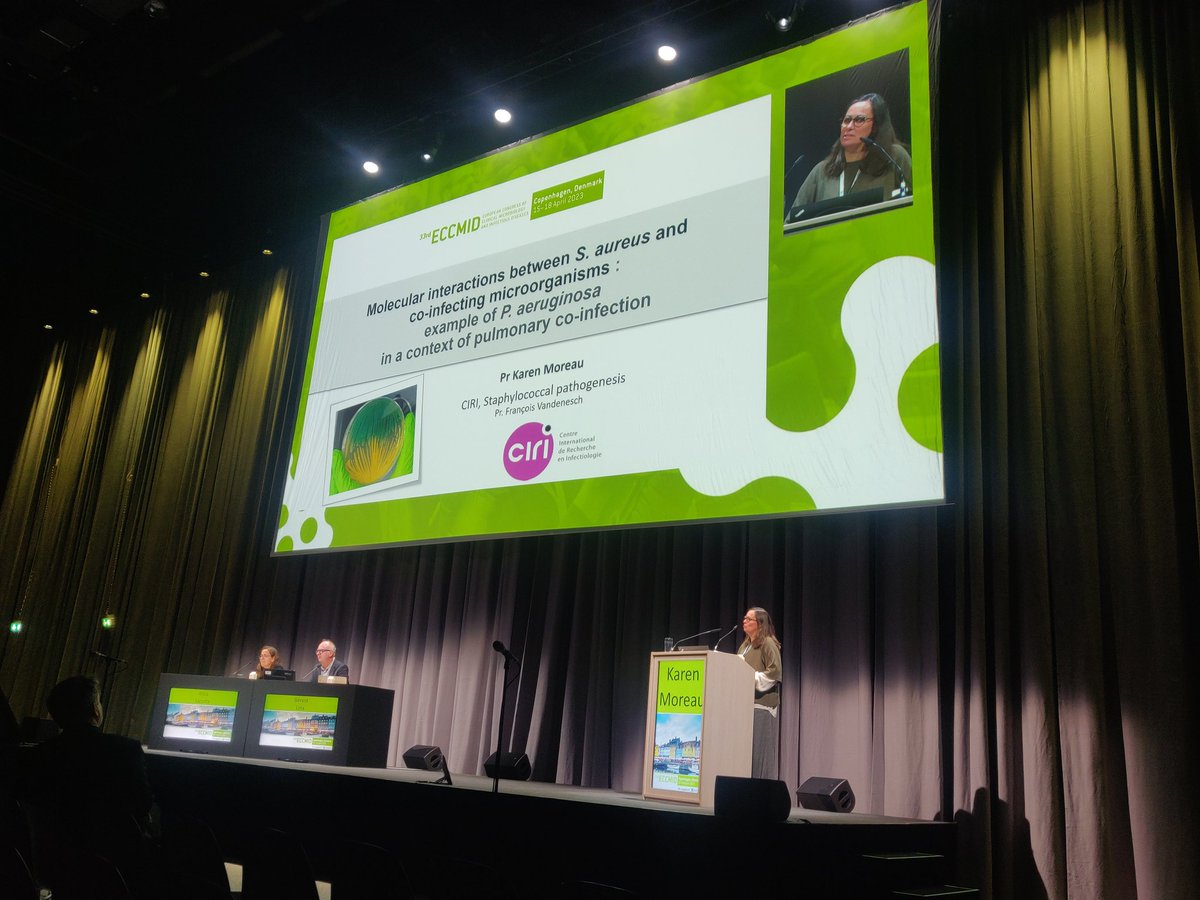 Overview of the love-hate relationship between S. aureus and P. aeruginosa during pulmonary infections 💚⚡ Presented by @KMoreauLyon at #ECCMID23  @StaPath_CIRI