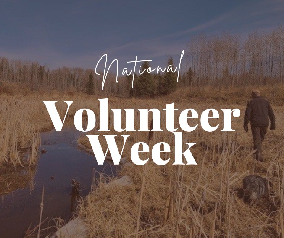 Alberta Fish & Game tweet media