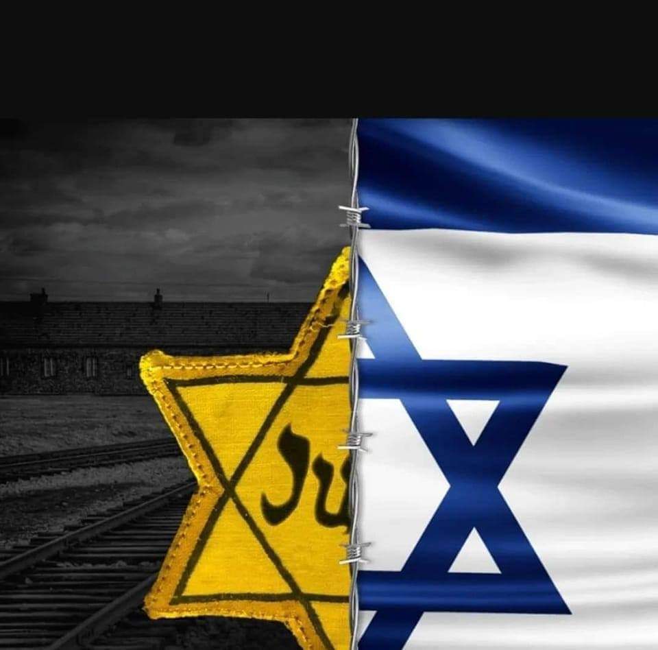 Zionist Movement tweet media