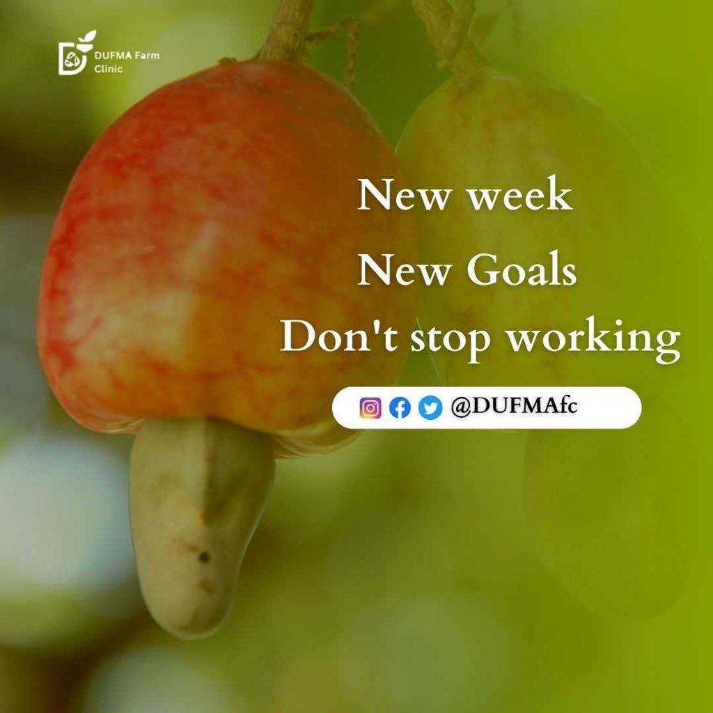 DufmaFc's tweet photo. It's a New Week, so make some positive and practical goals. Don't give up; keep working and moving forward.
Happy week!
#Foodsecurity #Agriculture #DUFMA
#NFSC2023 https://t.co/u2TxtMdoza