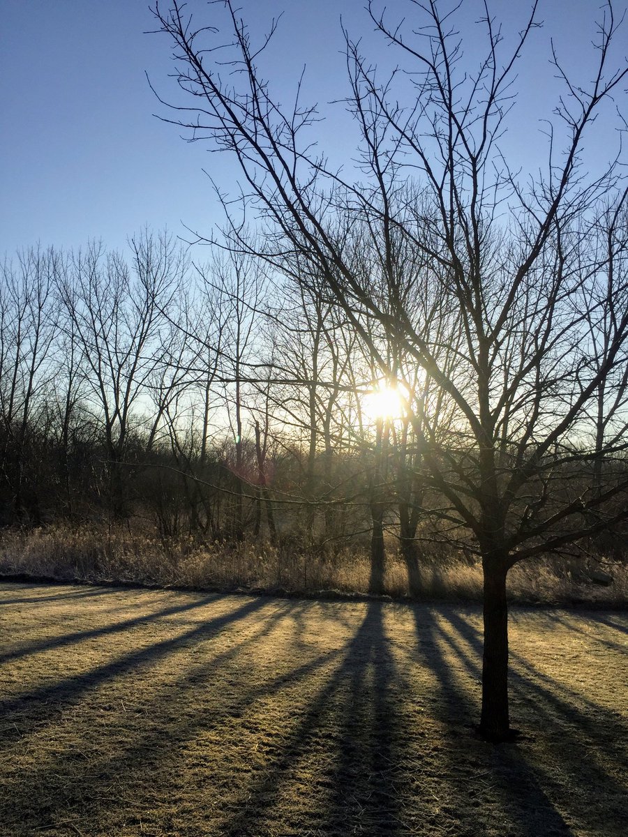 Mybears2's tweet photo. @Oteachjohn Good mornin John, hope you & Askum have a wonderful day! Stay safe #sunriseshadows https://t.co/28fPN2zVum