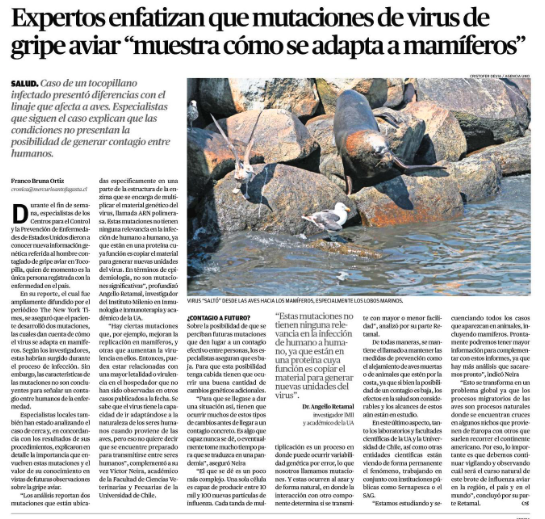 🔴El Dr, Angello Retamal, académico de la U. de #Antofagasta explica detalles de la mutación del virus de la gripe aviar en mamíferos.