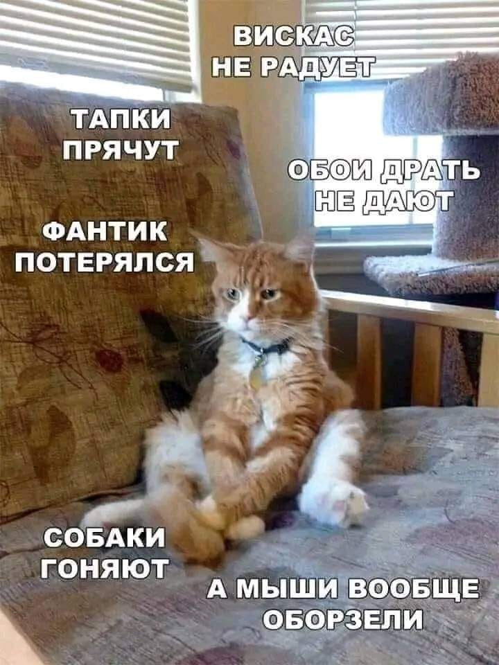Анна tweet media