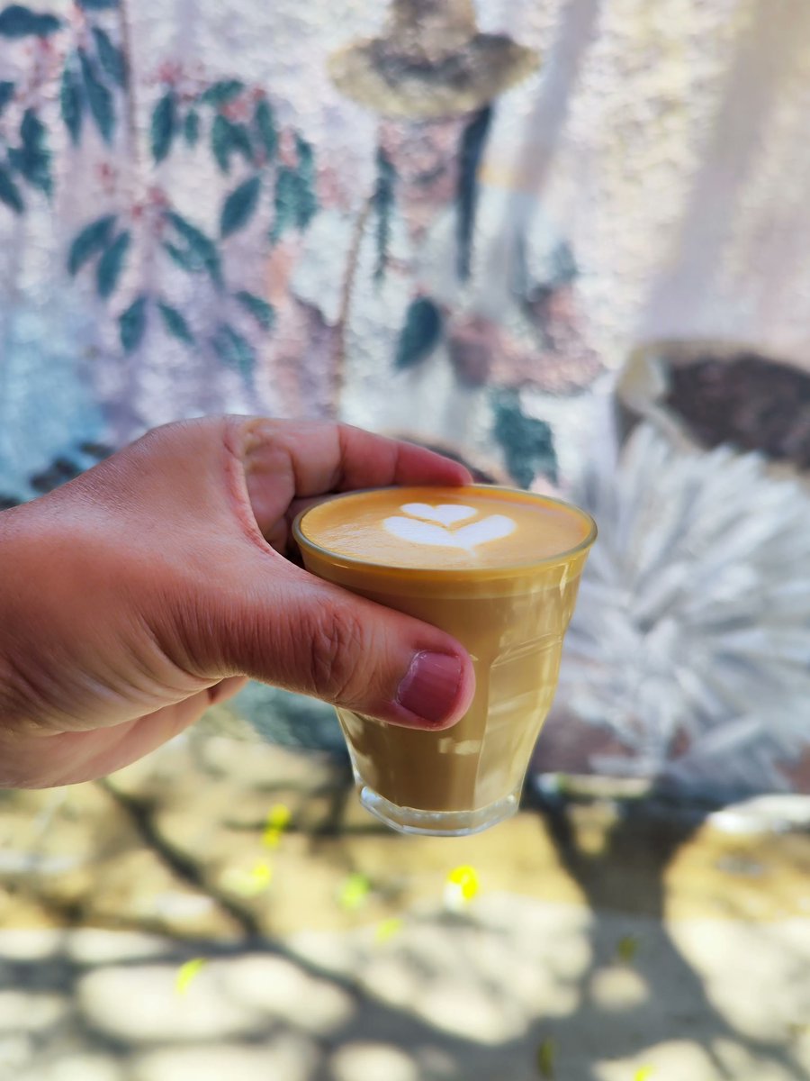 gilbertoperez's tweet photo. Pasaron las vacaciones, es hora de reactivarnos!
Ven por tu café a Taller de Espresso!
#cafe #Coffee #CoffeeTime #Guadalajara #Zapopan #cafeteria #expendio https://t.co/E7M5zfBKqg