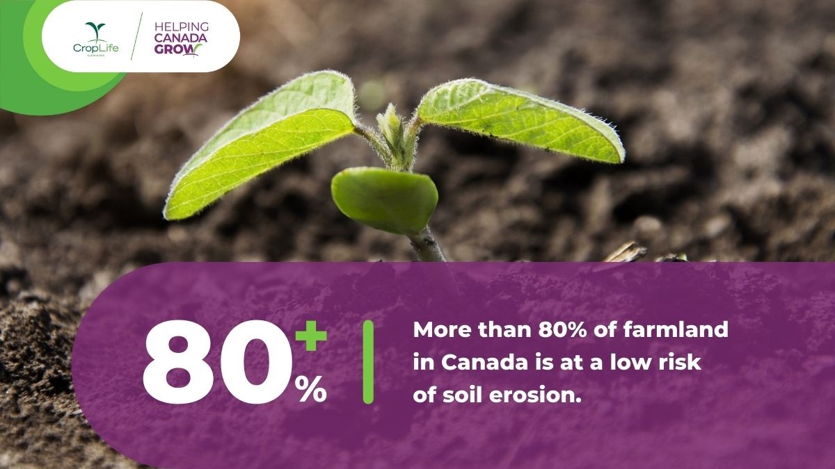 CropLifeCanada's tweet photo. Happy #nationalsoilconservationweek! #DYK plant science innovations help support healthy soils? For example, more farmers have been able to adopt conservation tillage and no-till farming, saving 1.2 BILLION LITRES of fuel between 1996 and 2018. @soilcouncil #HelpingCanadaGrow https://t.co/u7AuA1iIt3
