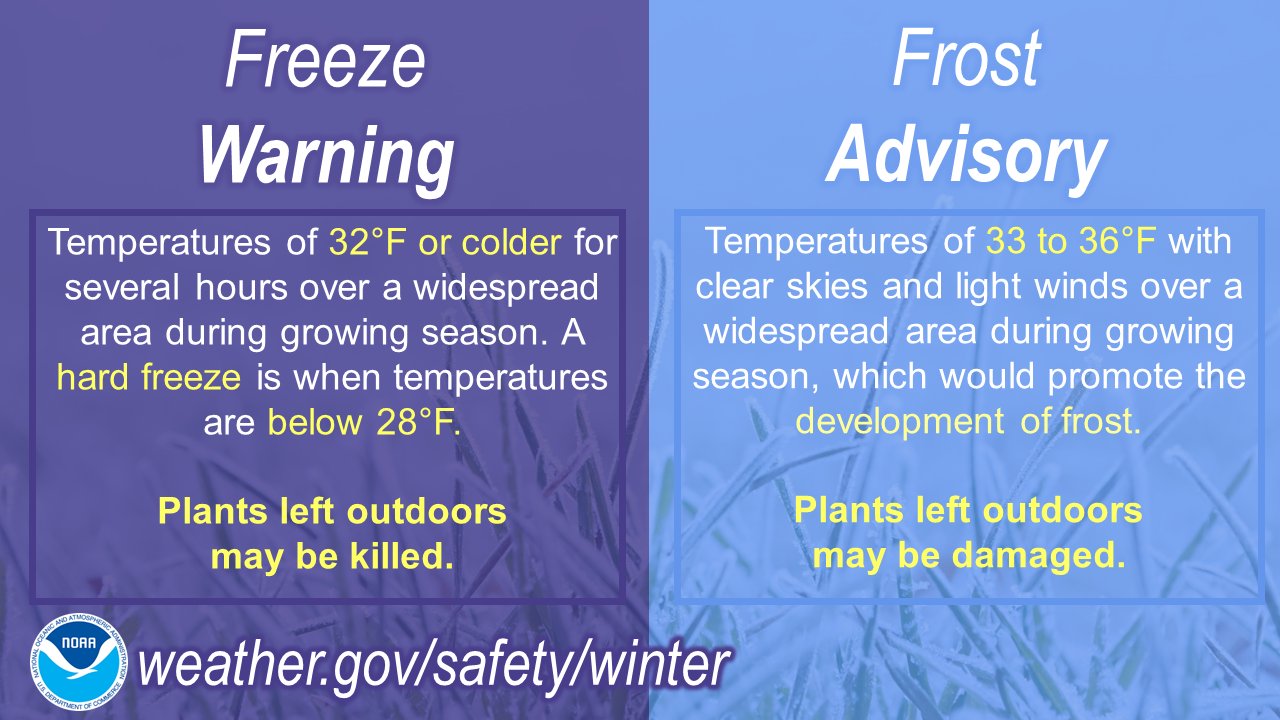 Frost vs. freeze: What's the difference?