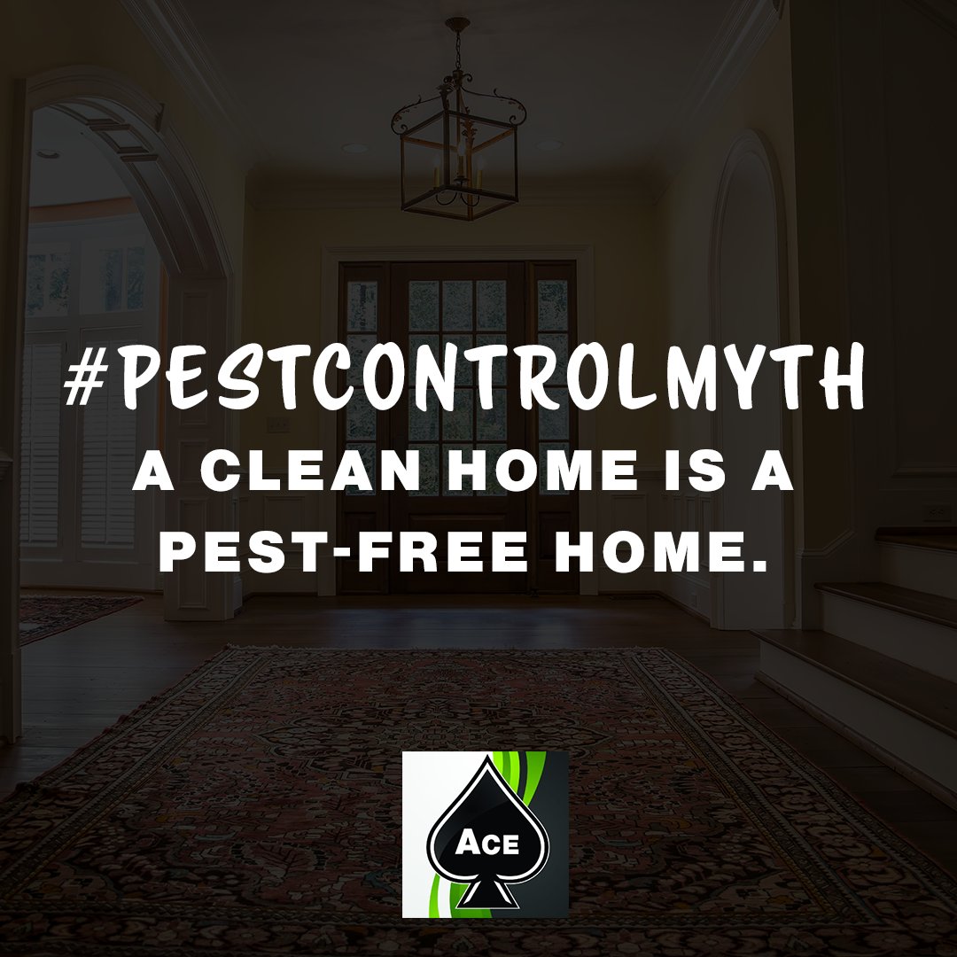 pestcontroltn's tweet photo. Just because you have pests doesn’t mean you aren’t keeping your home clean enough. Even the cleanest of houses can have an invasion. 👍 https://t.co/d6D752H6pC https://t.co/9iwWLuqwzb