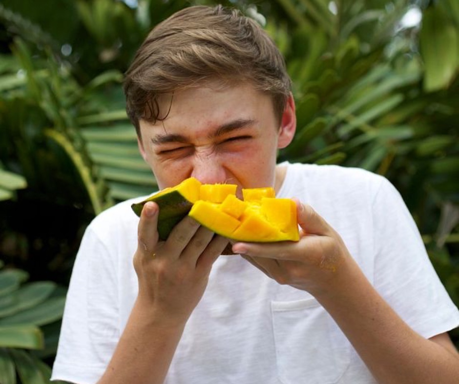 Mango_Board's tweet photo. Did you know all mangos originated in Asia over 5,000 years ago? This week, we’re crushing on this ancient fruit for its rich history across the world. Read more about the history of mango here: https://t.co/wQJkdkfCxn
#MangoCrushMonday #Mmmango #Mango #Mangos https://t.co/oaxR7sLuLN