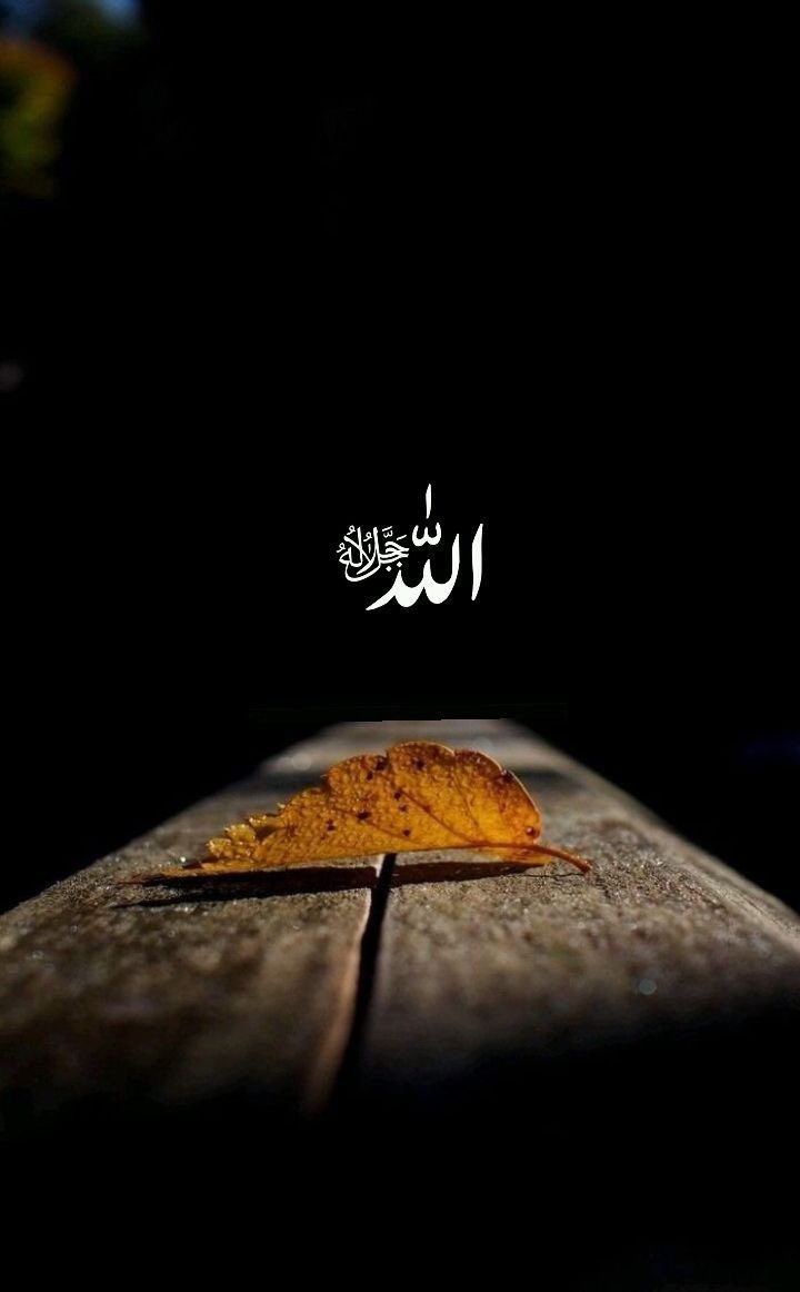 Bazen tükeniyoruz..
Şikayet sayma Rabbim..