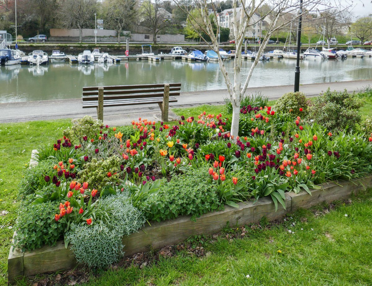 Kingsbridge certainly is in bloom 🥰 #bloomhour