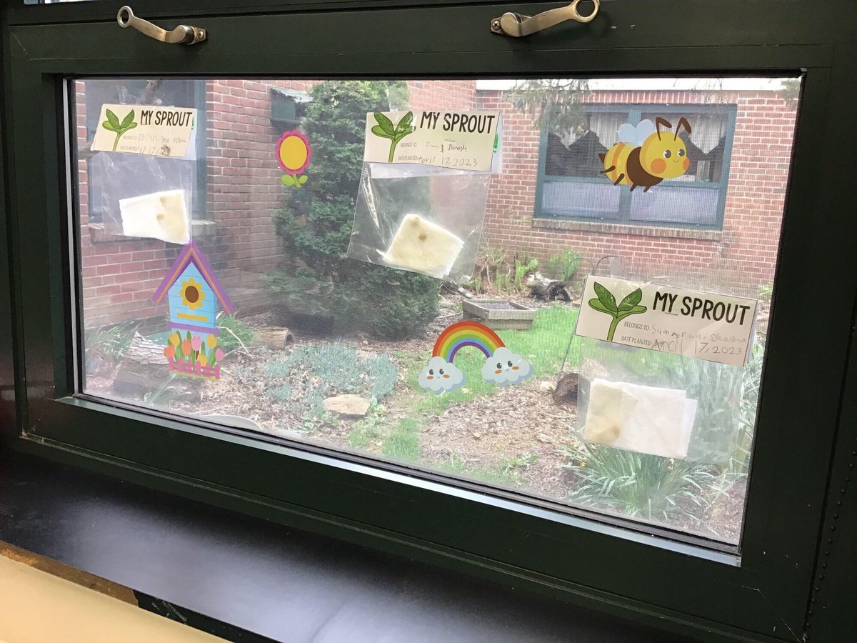 rnicholls_edu's tweet image. We are so excited to watch our seeds grow “From Seed to Plant” 🌱