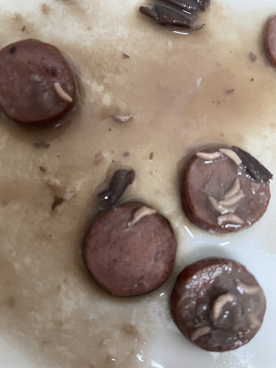 Que nojo 🤢 Está linguiça está cheia de vermes! Data de validade em dia, mas…Desperdício em uma enorme panela de feijão. Identificamos o primeiro dentro de um pedaço e os demais foram aparecendo boiando 🤮