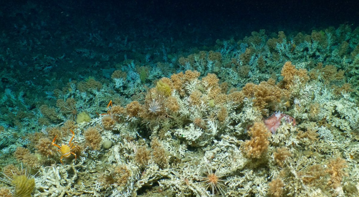 Dr Michelle Taylor tweet media