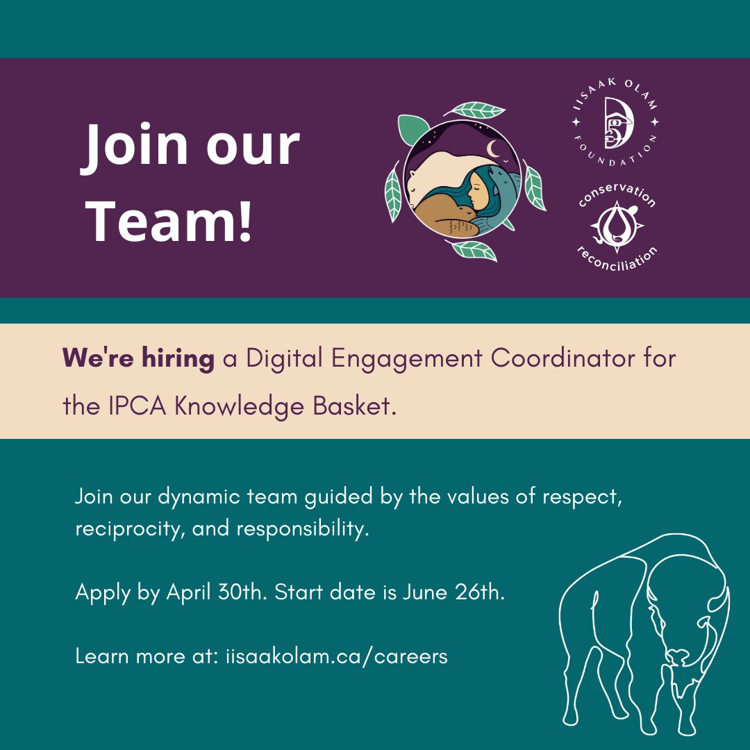 IPCABasket's tweet photo. We’re hiring a Digital Engagement Coordinator in Victoria, BC! We’re looking for someone passionate about digital engagement, website management, decolonial communications and Indigenous-led conservation?
Learn more here https://t.co/XTENO1hAay
#IndigenousledConservation #hiring https://t.co/wbCGPkVWUX