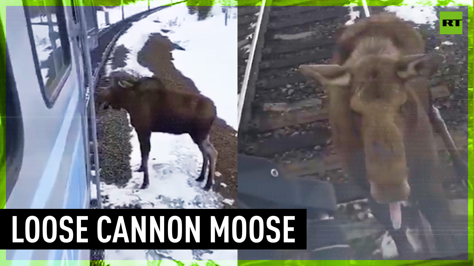 Cartoon Canon: Moooooooooose!