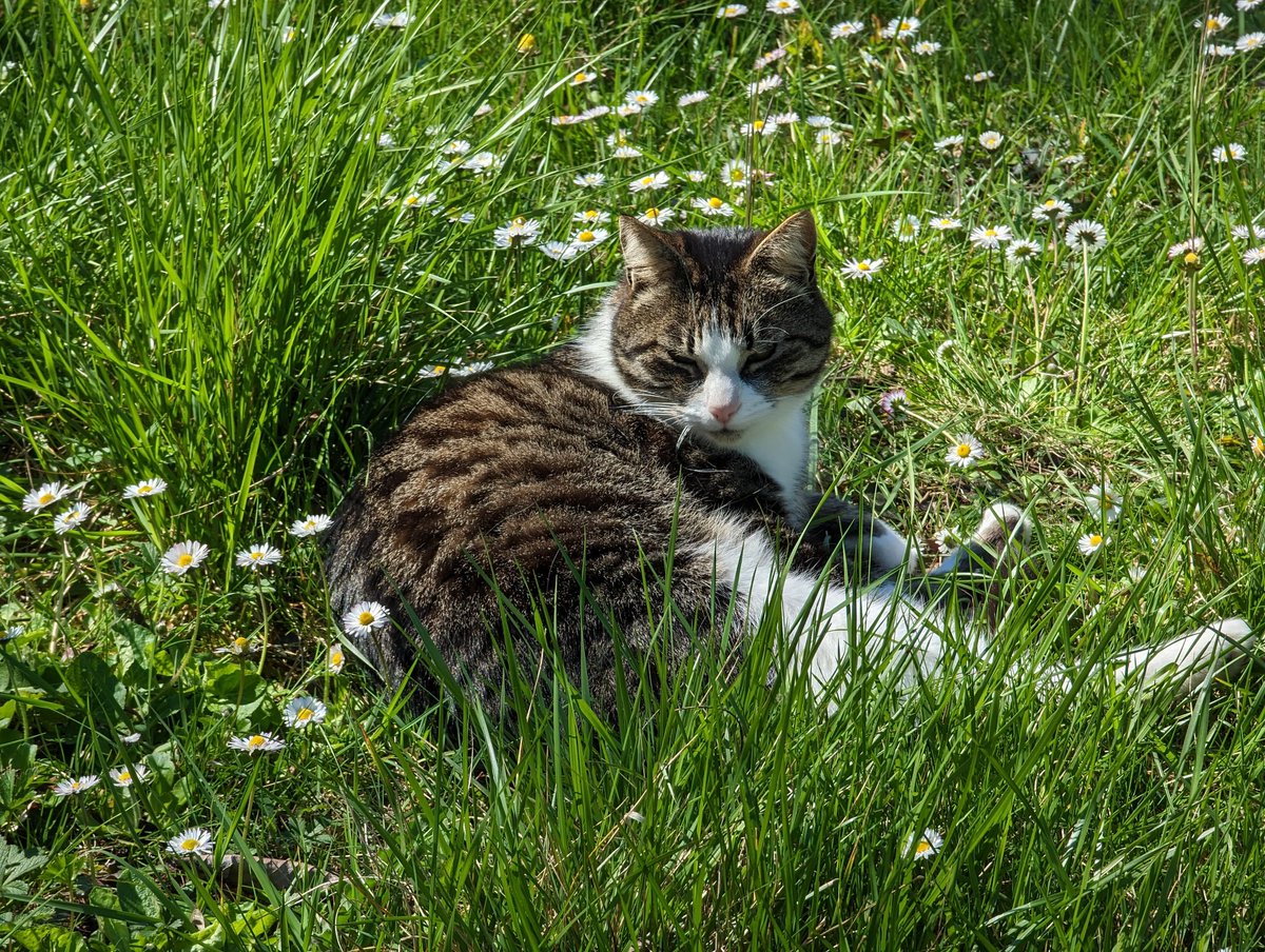 Sylvain Wallez tweet media