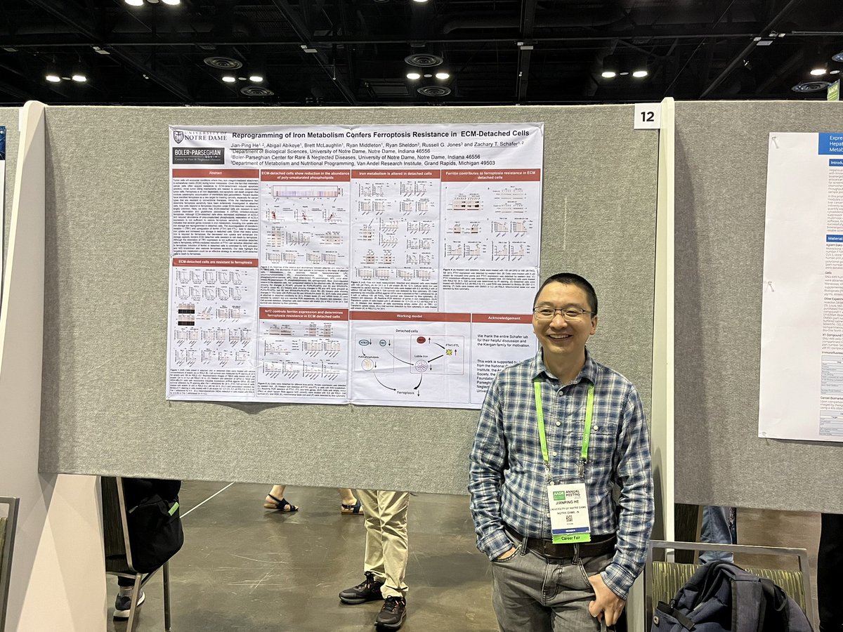 Lisa Hom tweet media