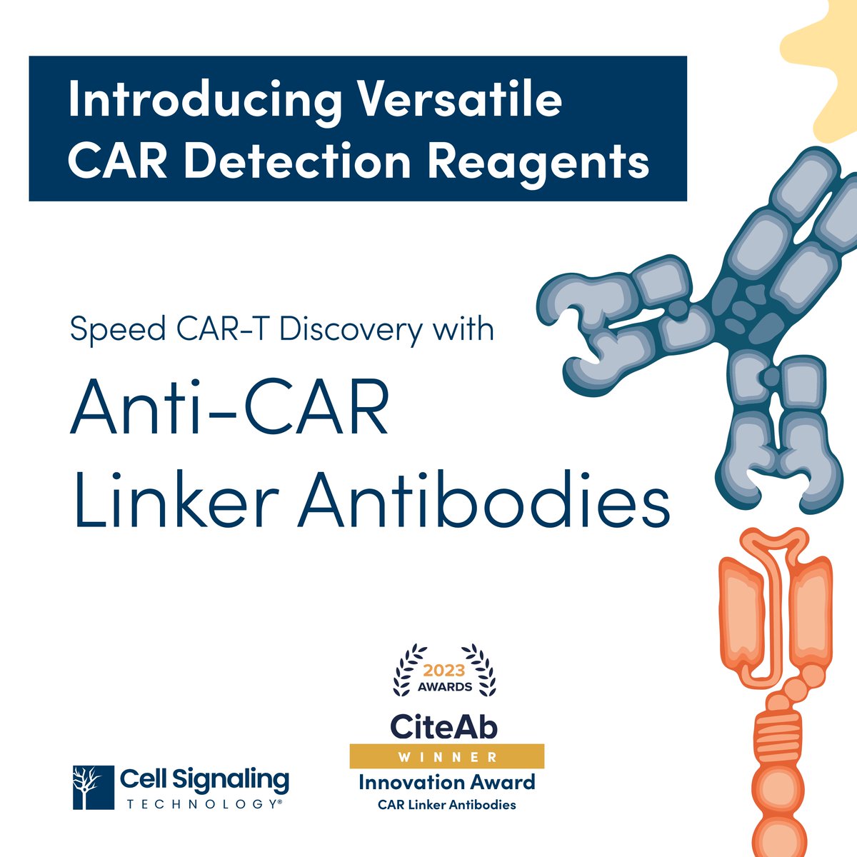 CellSignal's tweet photo. CiteAb 2023 Innovation Award winner: New anti-CAR linker #antibodies target the G4S or Whitlow linker to confirm CAR expression, regardless of antigen specificity. Learn more: https://t.co/3aSKTD6EpL #CARTtherapy #Immunotherapy #ChimericAntigenReceptor #CSTBlog @CiteAb https://t.co/AiAujXx6XB