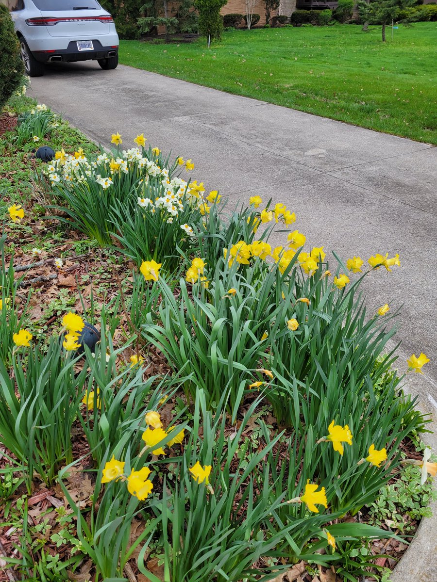 Sourine3's tweet image. #ForeverProject #HappyMonday #INeedMoreCoffee