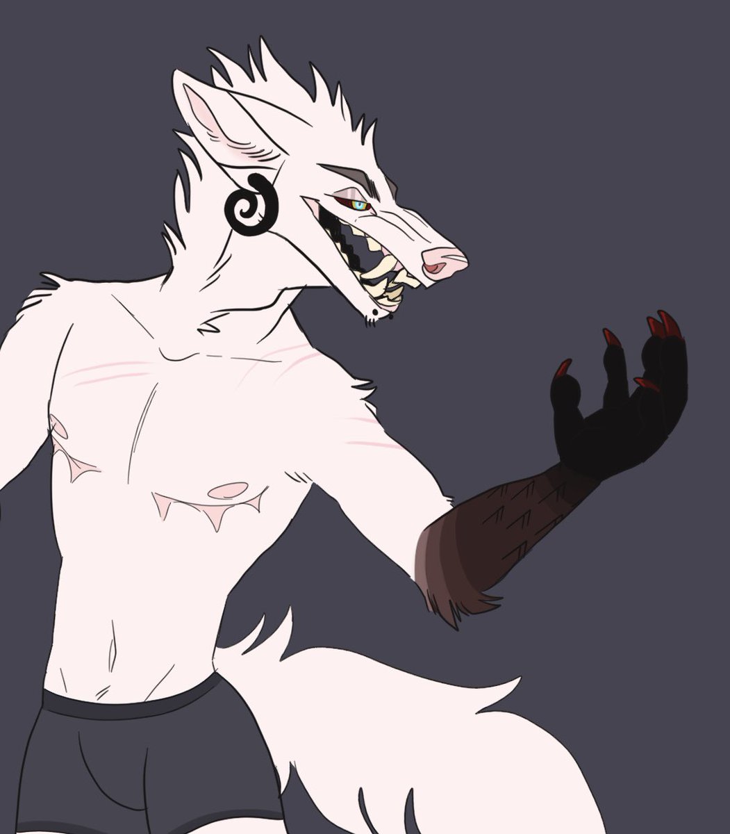 austriinus_art's tweet photo. OC vs irl species >:3c https://t.co/NSvVZEfW6x