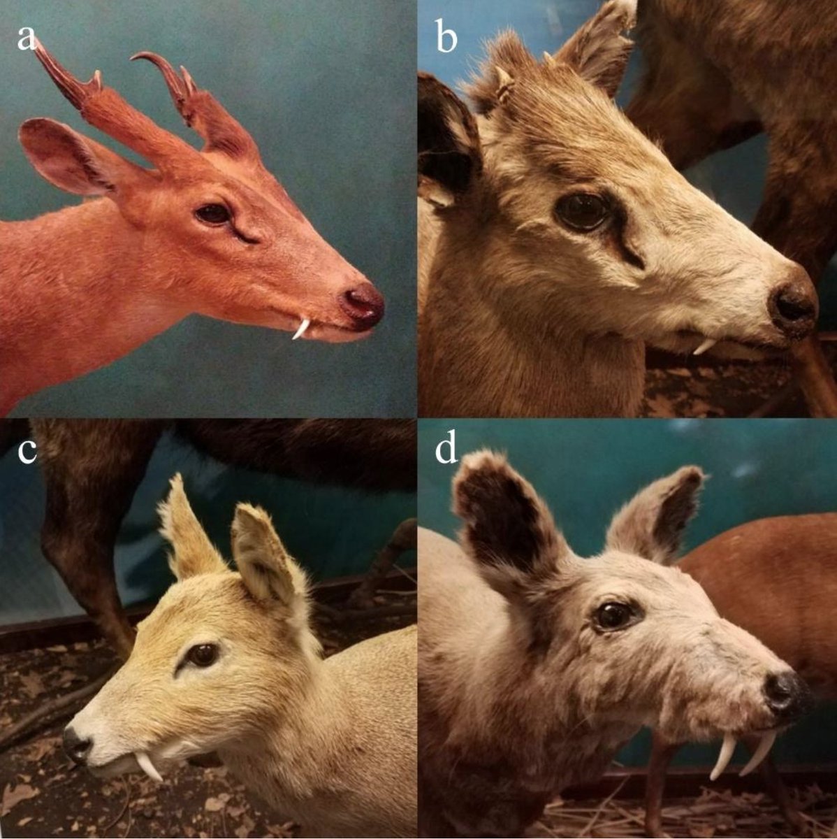 Darin Croft tweet media