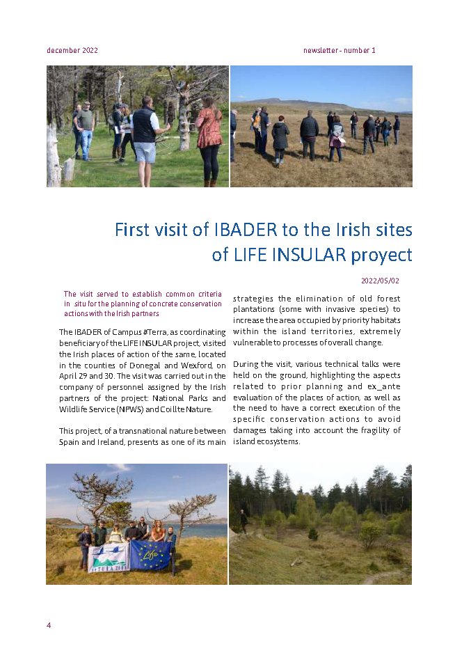 LIFE INSULAR 🇮🇪 🇪🇸 🇪🇺 tweet media