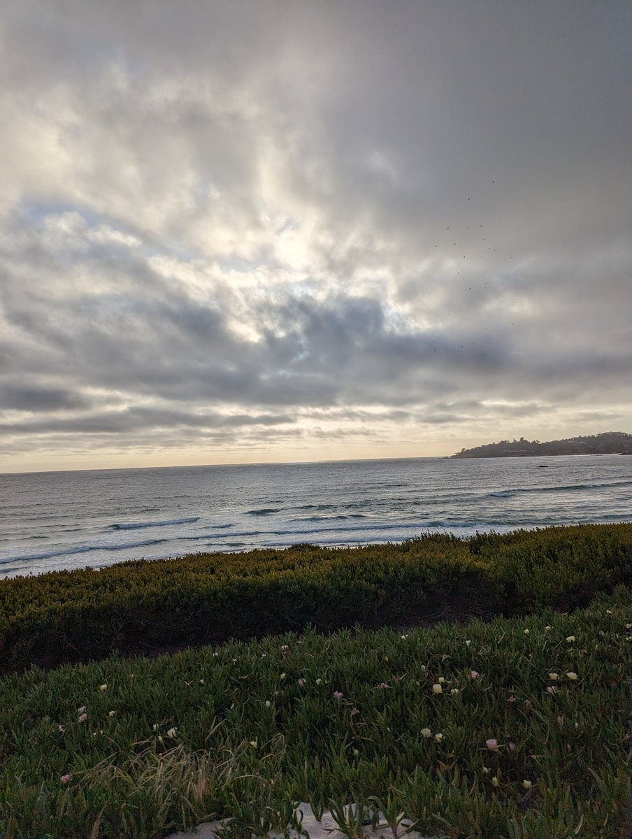mc_dids's tweet photo. Little vacation. https://t.co/HQdazVf390
