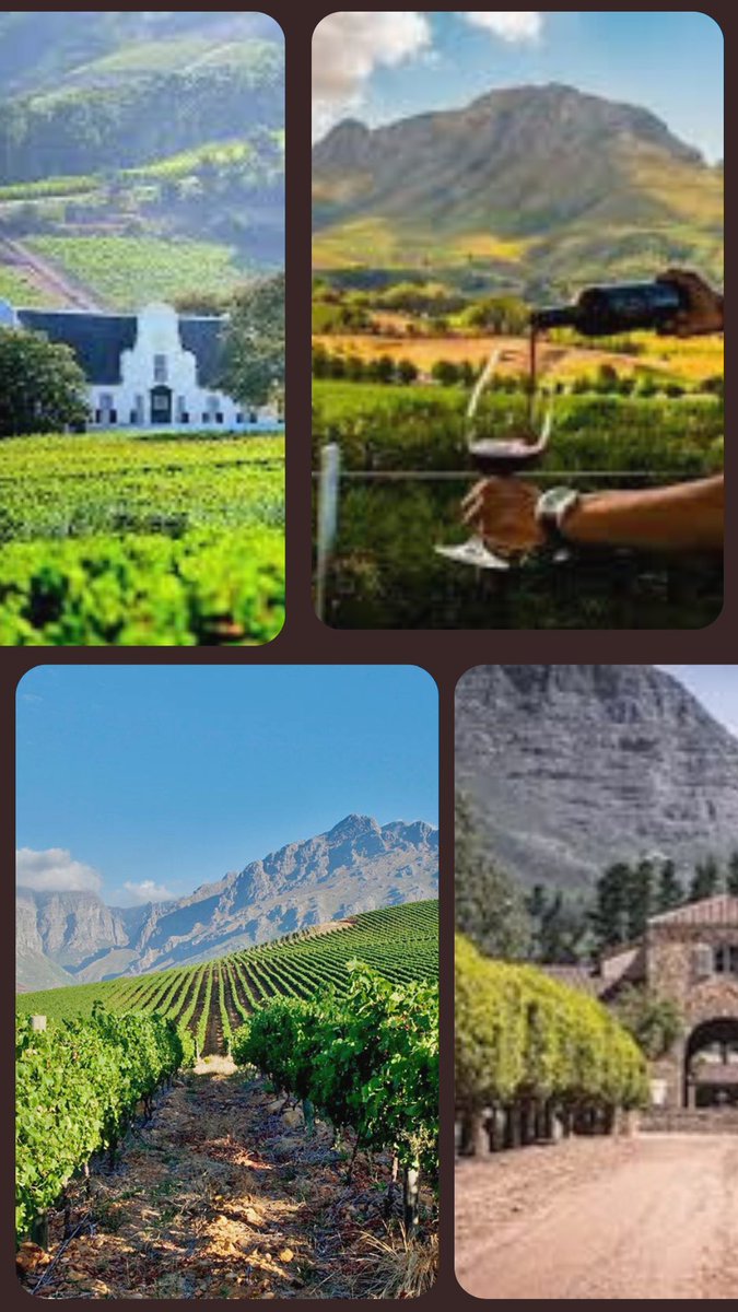 Smart Technology Helps #WineTourism Grow in #SouthAfrica…continues at liz-palmer.com 

#wineindustry #wineries #winetrade #winenews #winetech #winesofsouthafrica #WOSA #tourism #CapeWinelands #SpectacularSouthAfrica 
#southafricanwine  #winelover #winetravel