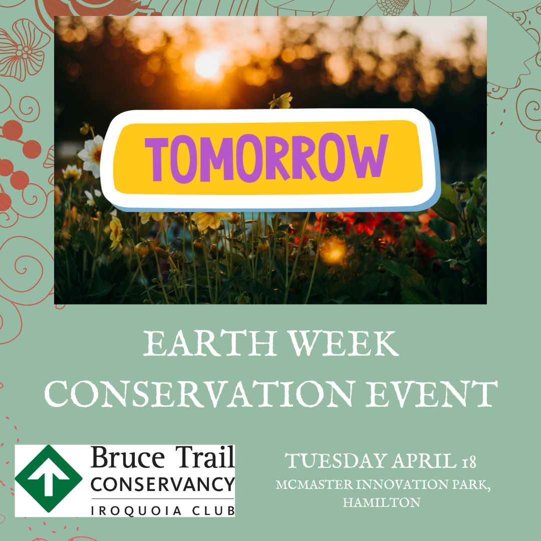 There is still room for our Wetlands in Focus event April 18th 7 pm at McMaster Innovation Park 1  Register at: iroquoia.on.ca/index.php/2023…