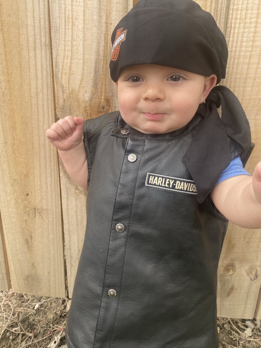 Sierraschaffer2's tweet photo. My future Harley rider ❤️ https://t.co/TPAYJfhhgG