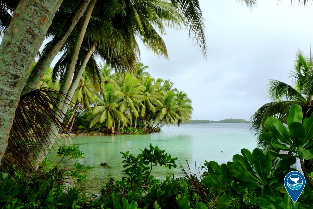 BREAKING NEWS: Today, <a href="/NOAA/">NOAA</a> announced it is starting the process to potentially designate a new national marine sanctuary in the Pacific Remote Islands area. 

<a href="/NOAA/">NOAA</a> invites the public to comment on the proposed sanctuary designation through June 2, 2023.

sanctuaries.noaa.gov/pacific-remote…