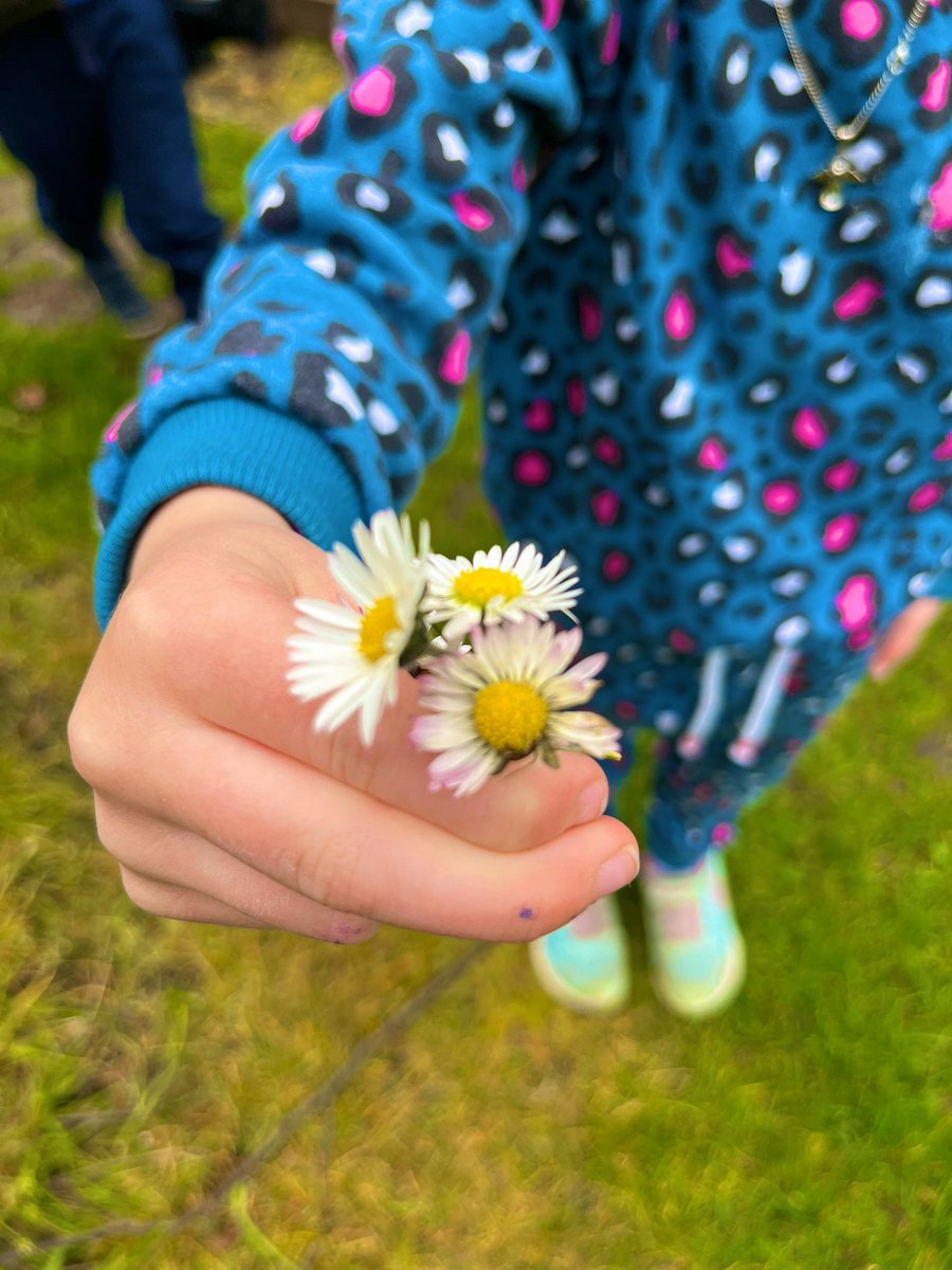 CPSEarlyLevel's tweet photo. #BeingMe #flowers #friendship   #nature #timetojustbe https://t.co/MEi8ayi3xc