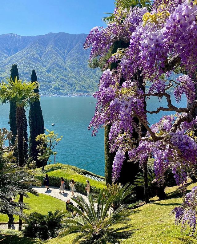 Exulansista's tweet photo. View to Lake Garda, Italy. https://t.co/0UibLVniWY