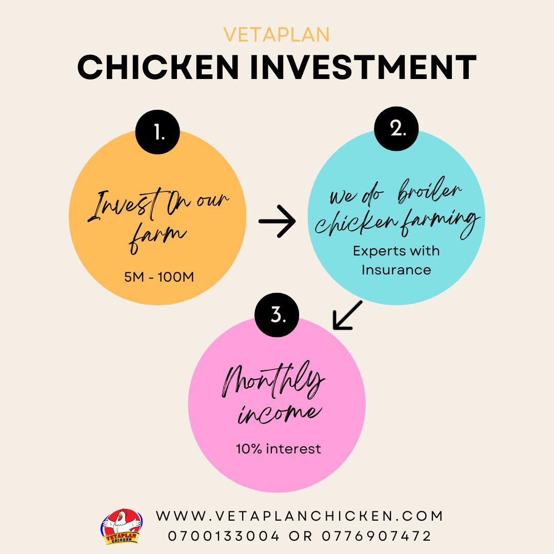 invest today 😉

This is the smart @vetaplanchicken investment plan you need

There is assured 10% passive income  monthly 

Contact them today

#VetaPlanChicken
 #DigitalFarming