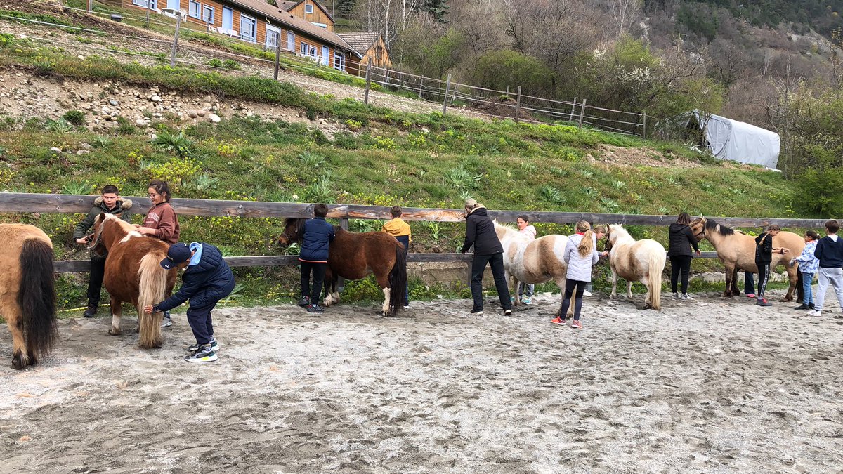 LSagetChabre's tweet photo. Vacances apprenantes pour #ecoleladeidiere @SAINTCYRSURMER @AcademieNice @latuileauxloups #lacdusautet #ecolebuissonniere https://t.co/hCm30uyI5J