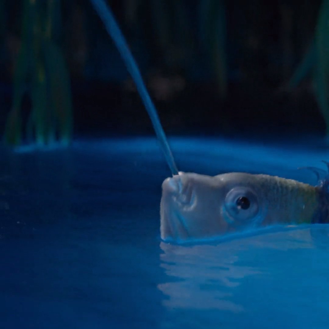 Disney Animation Promos on Twitter "New look at Flounder and Sebastian