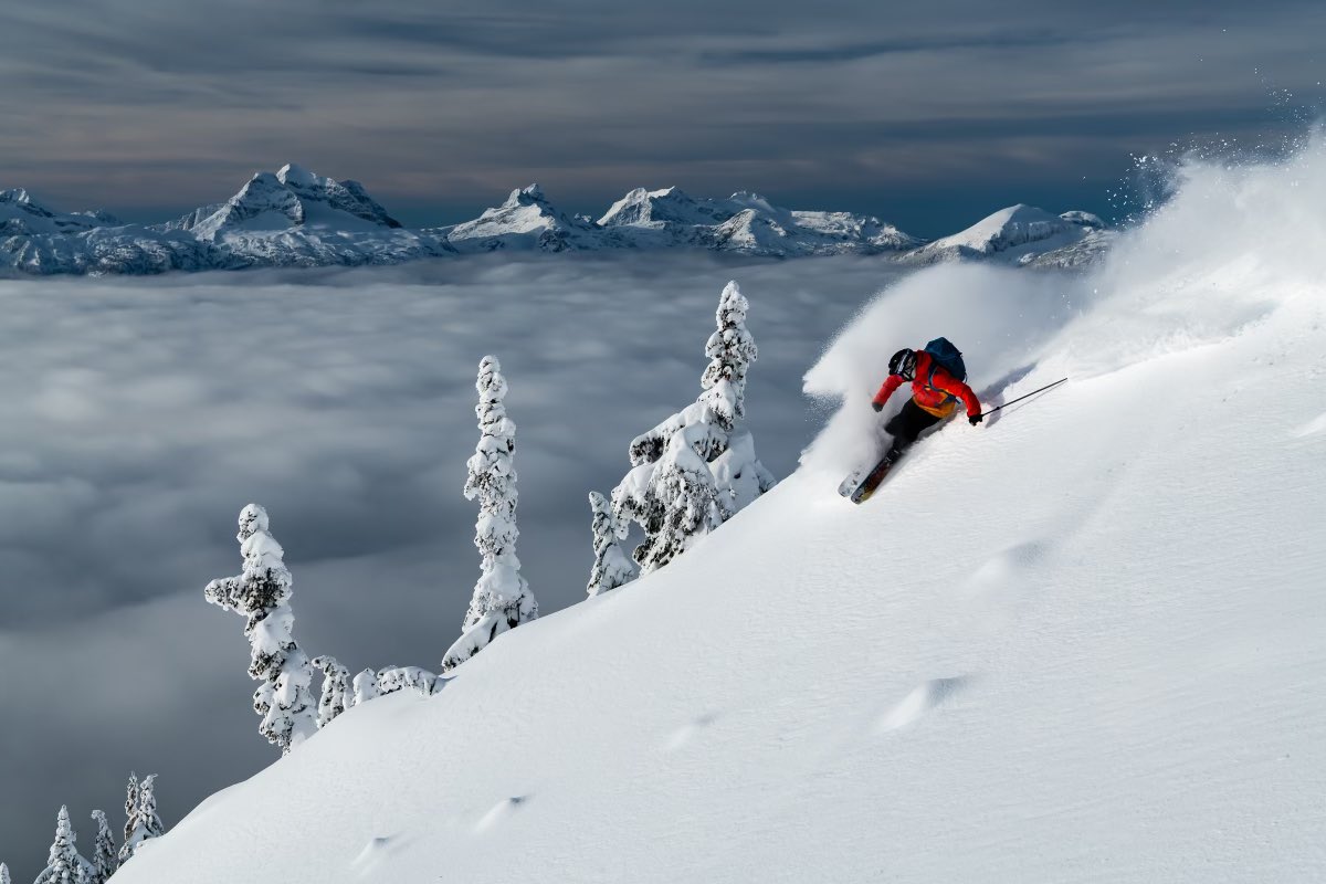 The Powell Movement tweet media