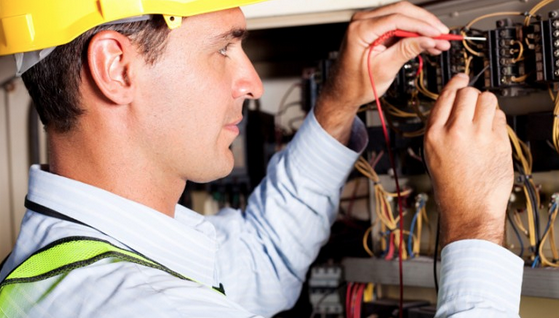 Tecoel tweet media