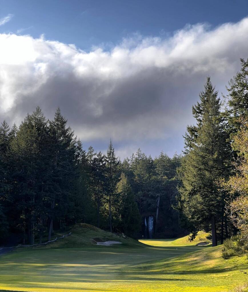 ItsChrisElder's tweet image. A break in the spring deluge revealed a stunning 17th @olympicviewgolf. Love this course. #golfvancouverisland #golfbc instagr.am/p/CrJLmSNrncV/