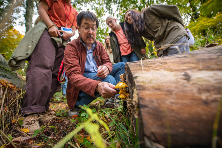 doescience's tweet photo. Shiitake mushrooms are tasty, but they could also help us produce biofuels. With the help of @jgi, researchers @ClarkUniversity have traced this mushroom's genomic evolution. This research could help us know how to break down the woody lignin in plants: https://t.co/cPN0PFQQKa https://t.co/pzz33NFUK8