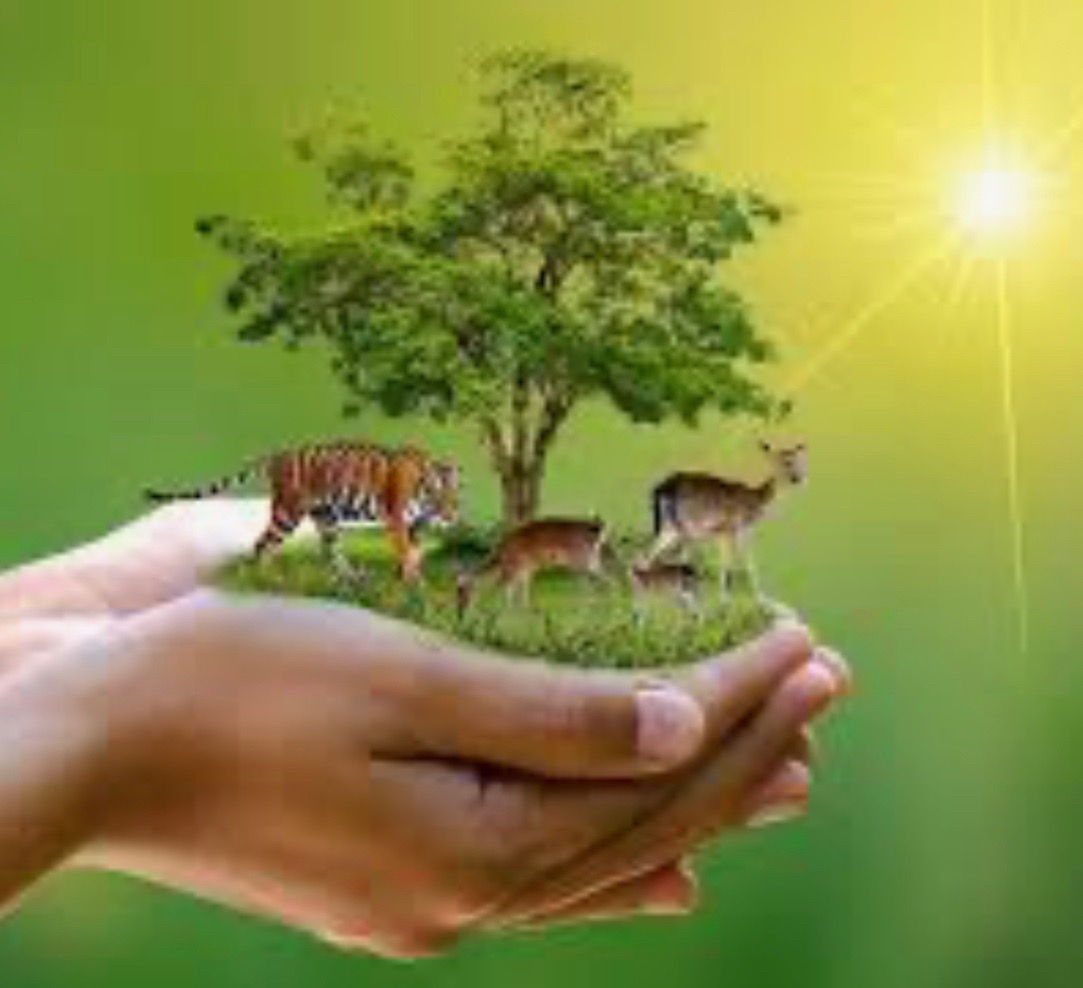 Splitting_Image's tweet photo. 🌳🐘🦔 If you want to find out more about wildlife conservation join us for the Eco Show live at 6! Text your questions to 07380339122 or use the Tribg Radio app to get in touch #talkshow #Eco #EcoShow #Tring #Herts #Bucks #Beds #localradio #keepitlocal #Tringradio #gogreen https://t.co/rw0wkjIaPp