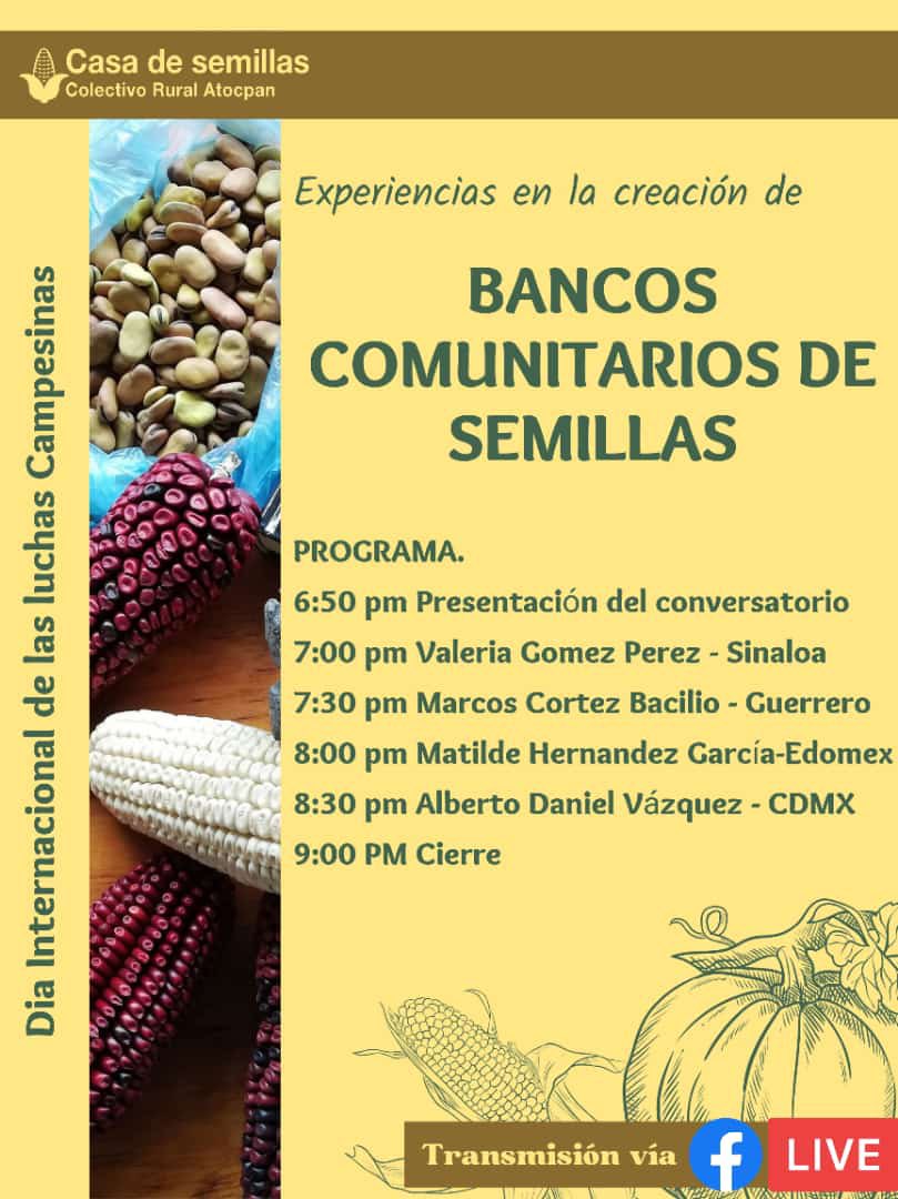 ¡Te invitamos el día de hoy a la compartición de las experiencias en la creación de Bancos Comunitarios de Semillas que se llevará a cabo vía remota! 🌽👇🏾

🗓️Hoy, 17 de abril 
⏰ 7 pm hora CDMX 
💻Facebook live Casa de Semillas Colectivo Rural Atocpan