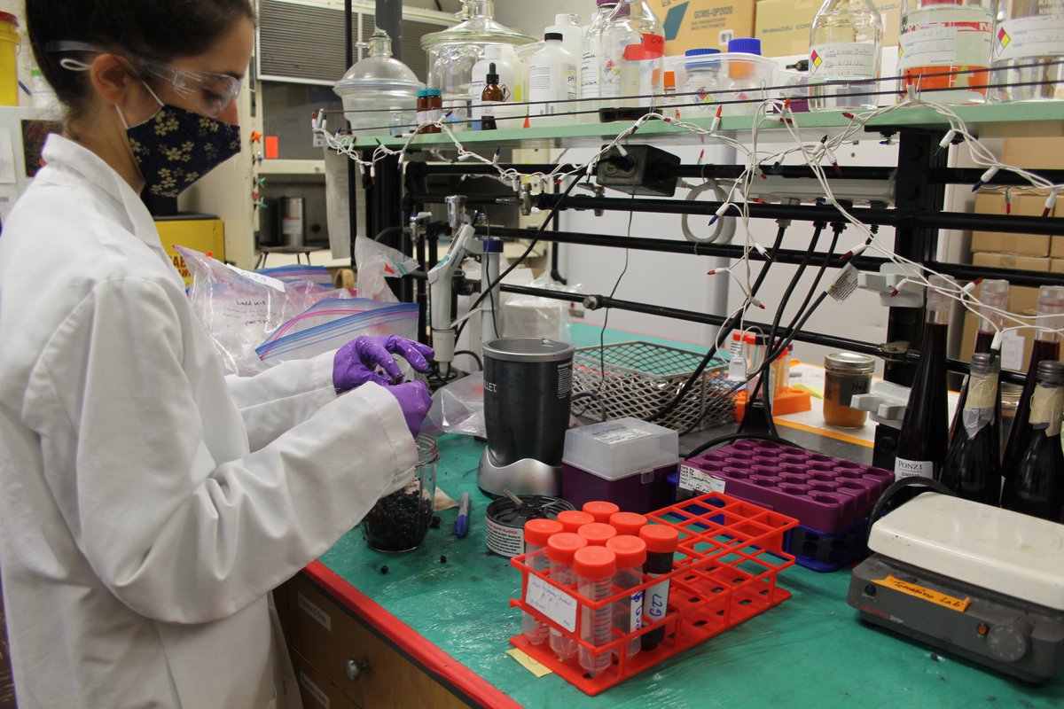 Sean Nealon tweet media